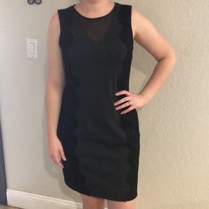 Fitted charcoal grey knee length dress